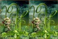 /album/kepgaleria-3d-stereogram/3d-fruit-jpg/